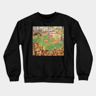 Autumn leaf Crewneck Sweatshirt